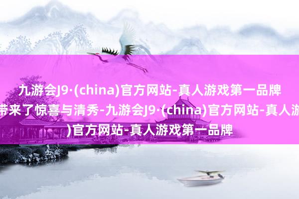 九游会J9·(china)官方网站-真人游戏第一品牌夏季初荷也带来了惊喜与清秀-九游会J9·(china)官方网站-真人游戏第一品牌