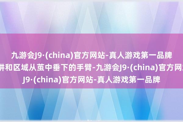 九游会J9·(china)官方网站-真人游戏第一品牌DLC的进口恰是蒙格讲和区域从茧中垂下的手臂-九游会J9·(china)官方网站-真人游戏第一品牌