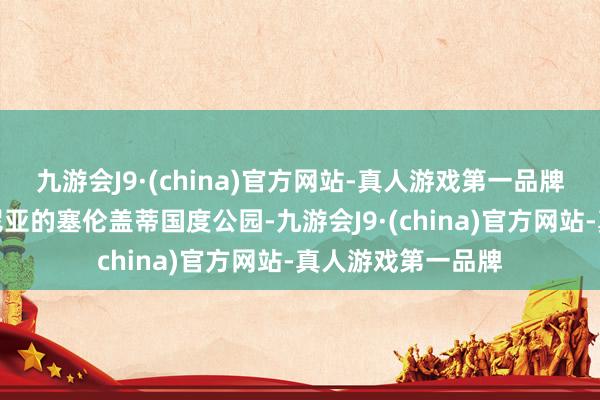 九游会J9·(china)官方网站-真人游戏第一品牌我有幸踏足坦桑尼亚的塞伦盖蒂国度公园-九游会J9·(china)官方网站-真人游戏第一品牌