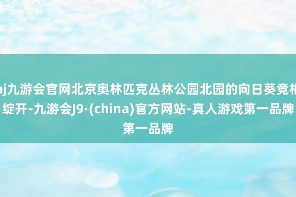 aj九游会官网北京奥林匹克丛林公园北园的向日葵竞相绽开-九游会J9·(china)官方网站-真人游戏第一品牌