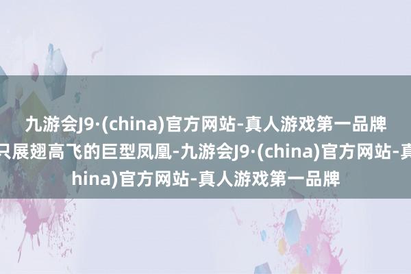 九游会J9·(china)官方网站-真人游戏第一品牌这架飞机宛如一只展翅高飞的巨型凤凰-九游会J9·(china)官方网站-真人游戏第一品牌