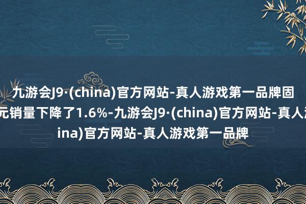 九游会J9·(china)官方网站-真人游戏第一品牌固然2024年单元销量下降了1.6%-九游会J9·(china)官方网站-真人游戏第一品牌