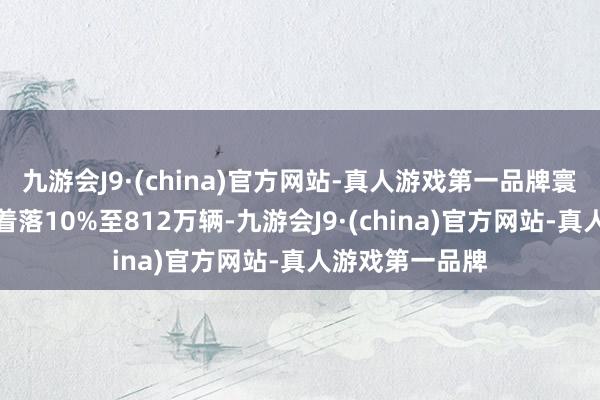 九游会J9·(china)官方网站-真人游戏第一品牌寰球其他国度则着落10%至812万辆-九游会J9·(china)官方网站-真人游戏第一品牌