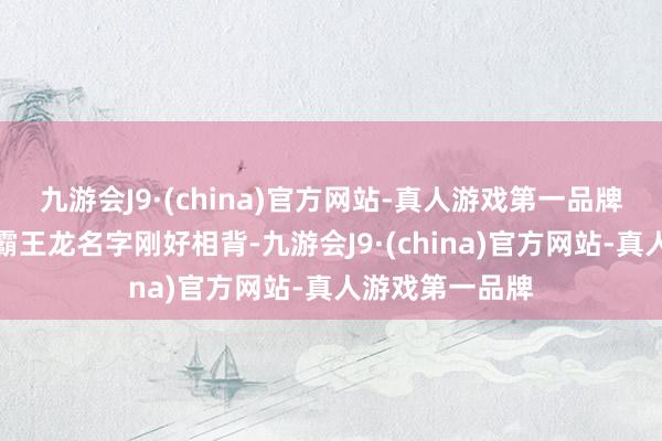 九游会J9·(china)官方网站-真人游戏第一品牌外不雅造型更霸王龙名字刚好相背-九游会J9·(china)官方网站-真人游戏第一品牌