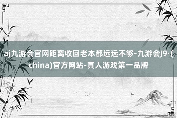 aj九游会官网距离收回老本都远远不够-九游会J9·(china)官方网站-真人游戏第一品牌