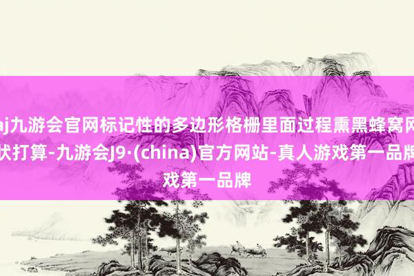 aj九游会官网标记性的多边形格栅里面过程熏黑蜂窝网状打算-九游会J9·(china)官方网站-真人游戏第一品牌