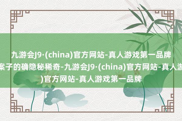 九游会J9·(china)官方网站-真人游戏第一品牌最终的两个案子的确隐秘稀奇-九游会J9·(china)官方网站-真人游戏第一品牌