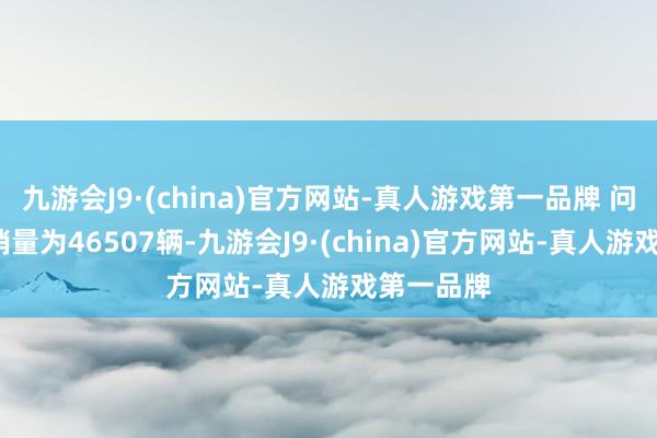 九游会J9·(china)官方网站-真人游戏第一品牌 问界M9的销量为46507辆-九游会J9·(china)官方网站-真人游戏第一品牌