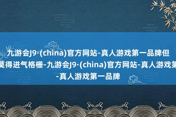 九游会J9·(china)官方网站-真人游戏第一品牌但基本上莫得进气格栅-九游会J9·(china)官方网站-真人游戏第一品牌