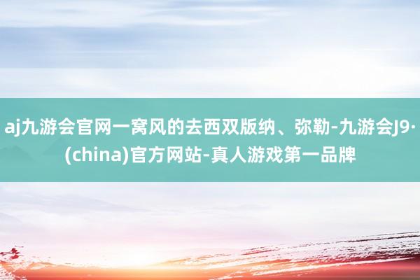 aj九游会官网一窝风的去西双版纳、弥勒-九游会J9·(china)官方网站-真人游戏第一品牌