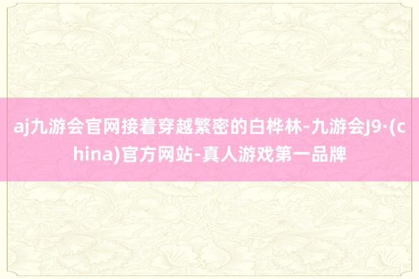 aj九游会官网接着穿越繁密的白桦林-九游会J9·(china)官方网站-真人游戏第一品牌