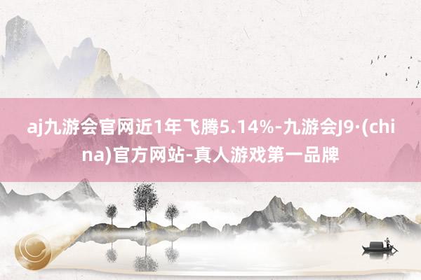 aj九游会官网近1年飞腾5.14%-九游会J9·(china)官方网站-真人游戏第一品牌