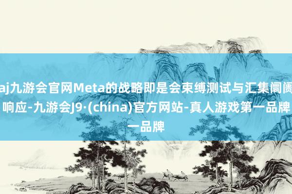 aj九游会官网Meta的战略即是会束缚测试与汇集阛阓响应-九游会J9·(china)官方网站-真人游戏第一品牌